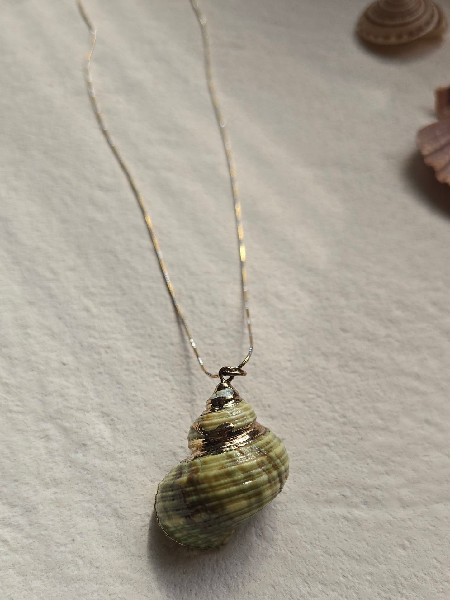 Jade Turbo Seashell Necklace | .925 Sterling Silver