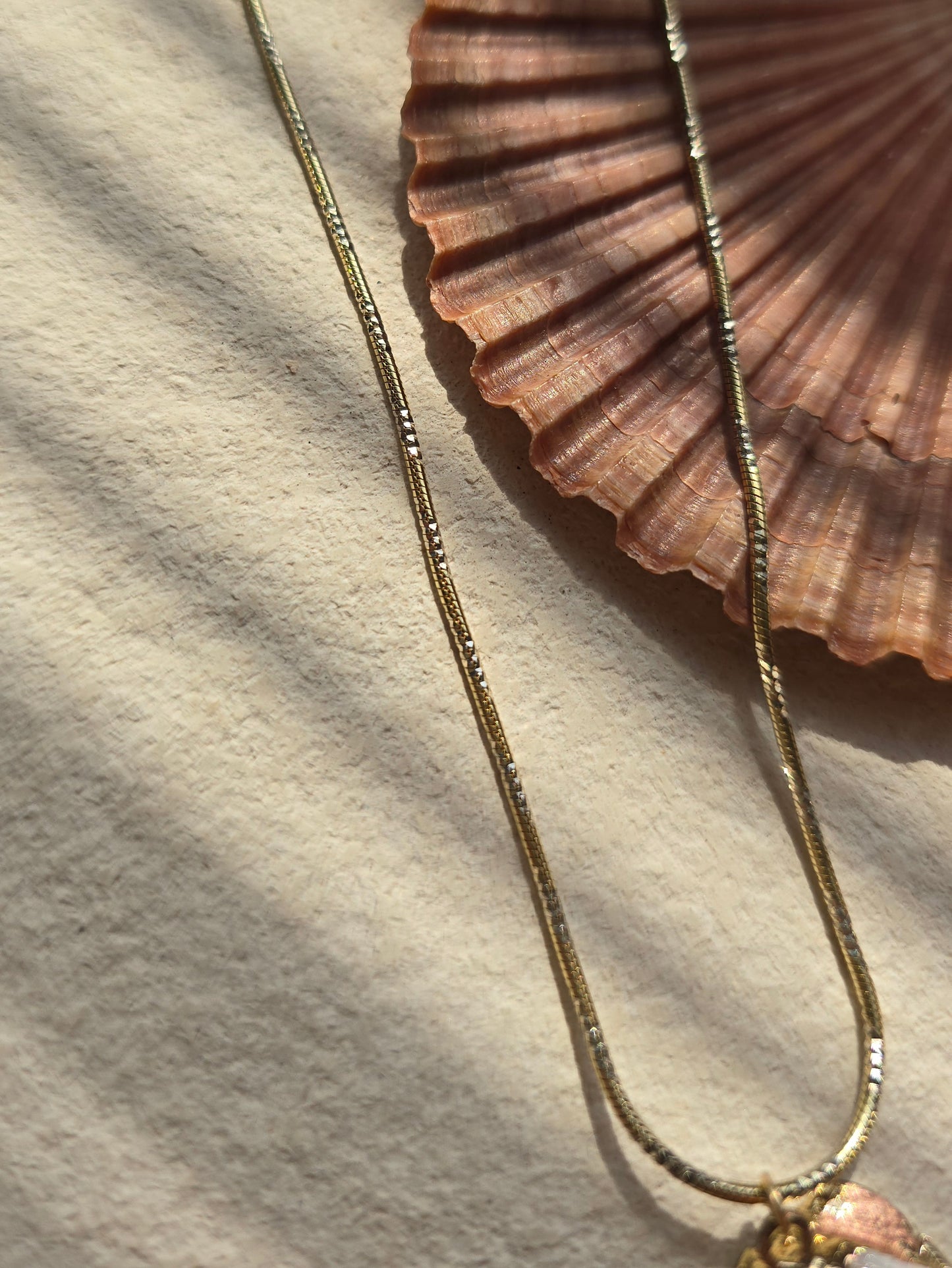 Jade Turbo Seashell Necklace | .925 Sterling Silver