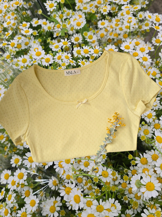 Cotton Pointelle Scoop Neck Top