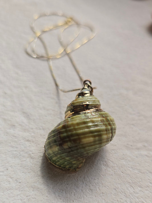 Jade Turbo Seashell Necklace | .925 Sterling Silver
