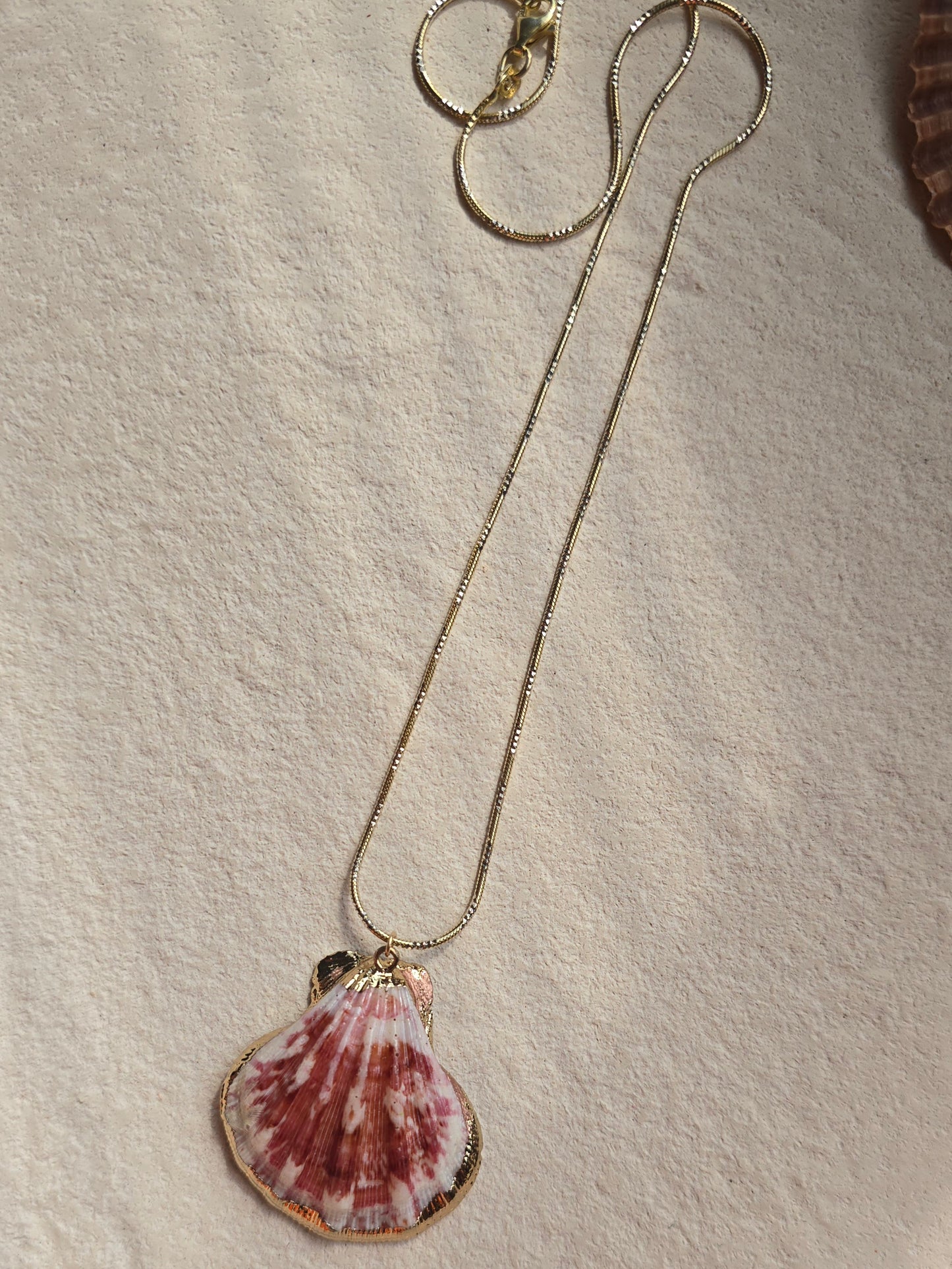 Calico Seashell Necklace | .925 Sterling Silver